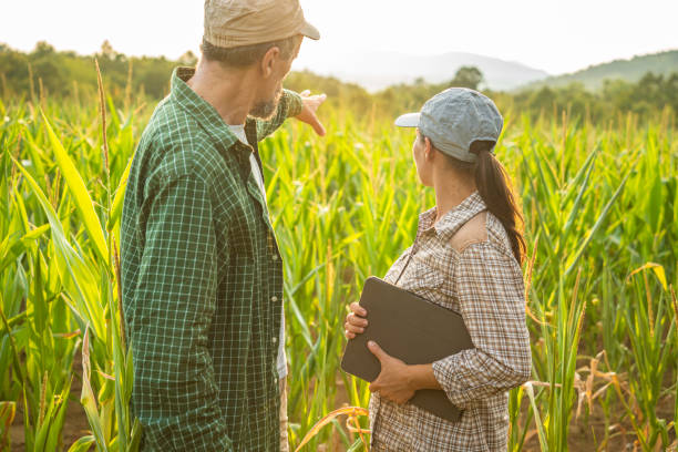 istock Smart Farming. Farmers Use Tablet in Corn Field at Sunset. 2165293028