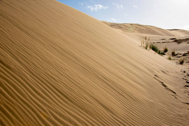 Giant Sand Dunes in Cape Reinga - New Zealand