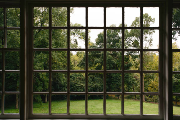 istock Large Multi-Pane Window Providing Expansive Green View Of Lush Backyard. 2165306371