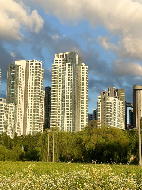 istock Seoul Banpo Apartments 2165307432