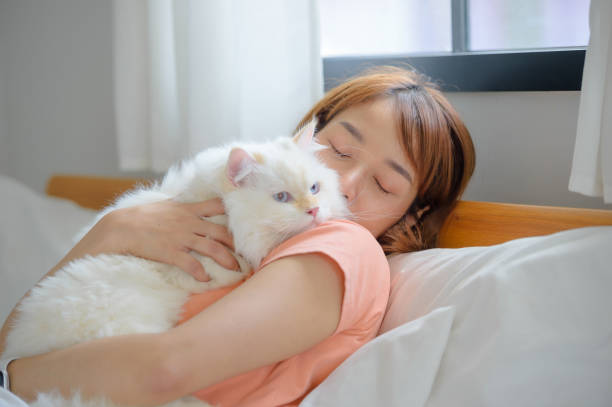 istock girl and Persian cat 2165310065