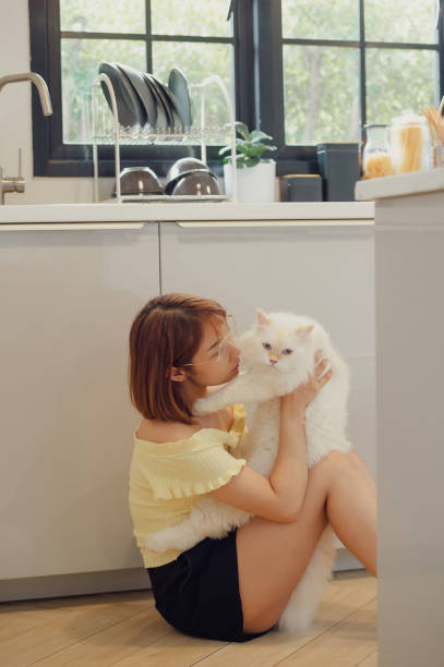 istock girl and Persian cat 2165310096