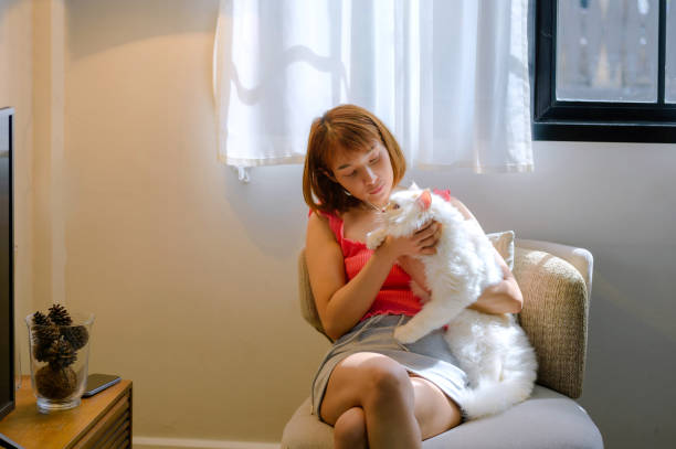 istock girl and Persian cat 2165310107