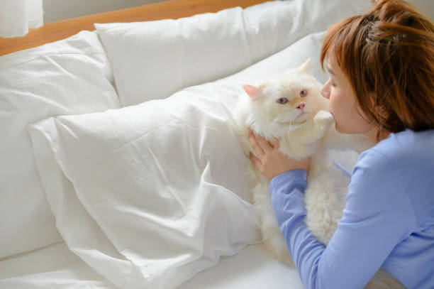 istock girl and Persian cat 2165310126