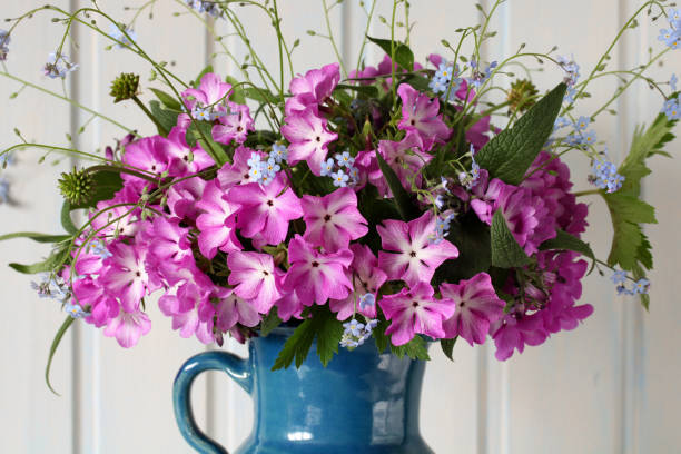 istock floral background, garden spring primroses and forget-me-nots. nature, springtime. 2165311961