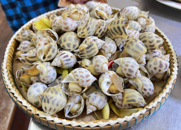 Steamed spotted babylon snail with ginger and lemongrass
