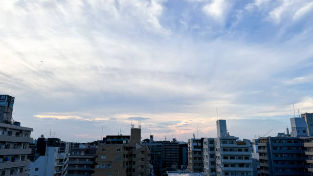 istock The beautiful views in Tokyo 2165315405