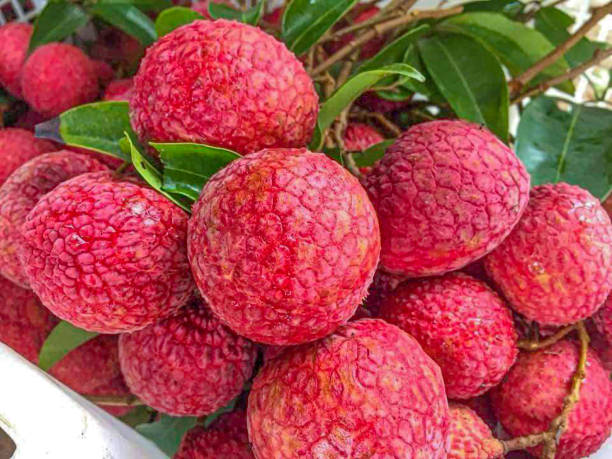 Lychee, Thai fruit