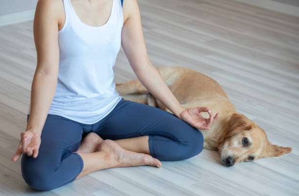 istock Woman and Dog Doing Yoga 2165323086