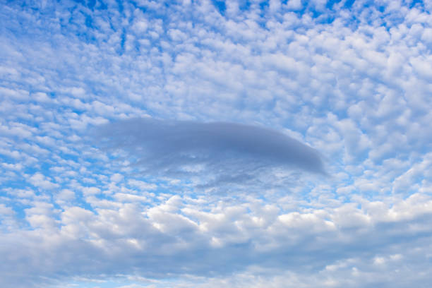 Looking up at pretty clouds and a blue sky