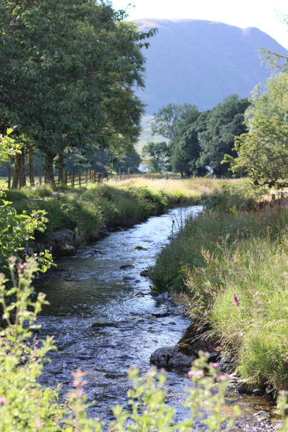 istock Countryside stream flowing through a meadow in summer 2165328400