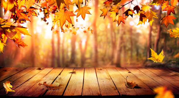 istock Autumn Wooden Table - Fall In Orange Forest At Sunset 2165332141