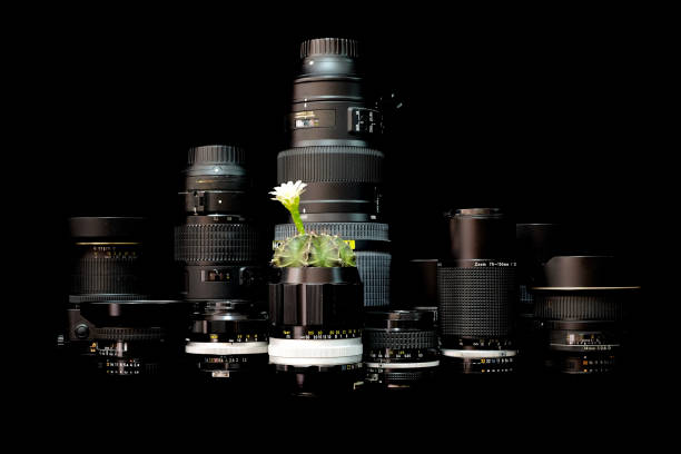 cactus pot made from old camera  lenses