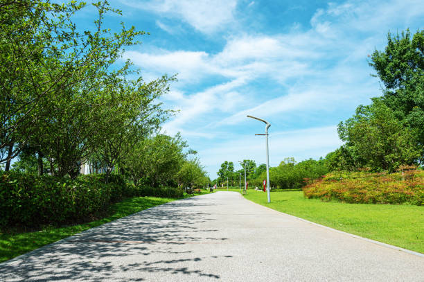 Pathway and flowerbeds in the city park