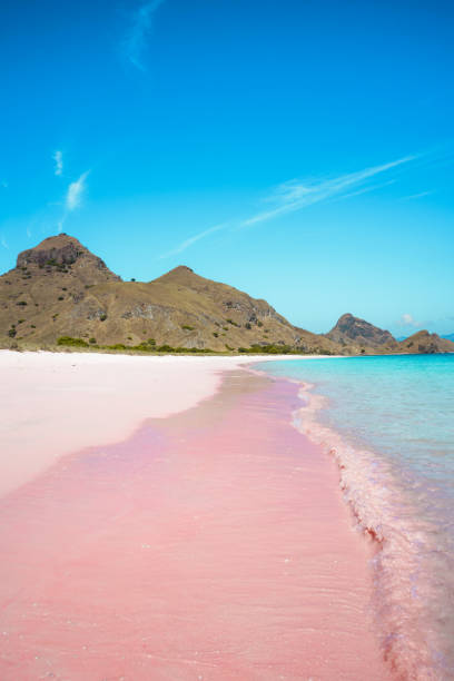 istock Tropical pink sandy beach and soft blue ocean wave. summer holiday concept. 2165334144