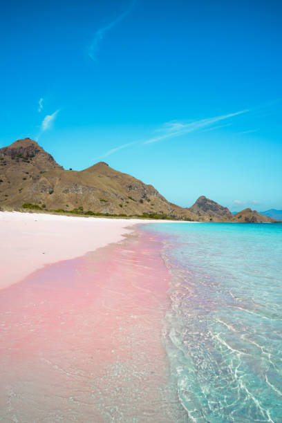istock Tropical pink sandy beach and clear turquoise water. summer background 2165334311