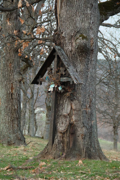 istock Old oak with a cross - Zapis 2165342405