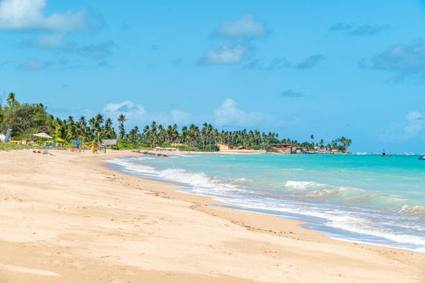 istock beautiful large white sandy beach in Maragogi, view to jungle at thze clean empty beach 2165342648