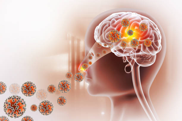 Visual concept of deadly brain-eating virus infection. 3d illustration