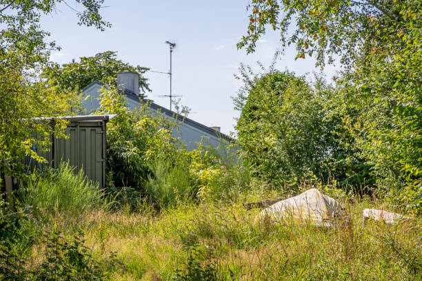 Kulhuse, Northern Zealand, Denmark - August 1st 2024: Backyard in a rural district with a wooden shed and an small boat with the keel upside