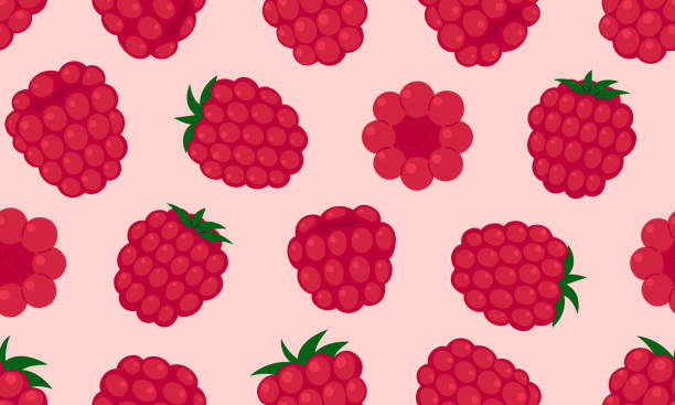 Raspberry Fizzy Pattern 12,300+ Raspberry Pattern Stock Illustrations, Royalty-Free Vector ...