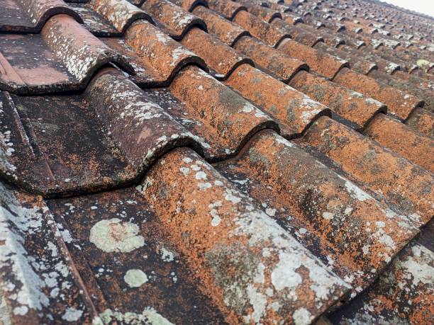 istock Indonesian style roof tiles 2165346771