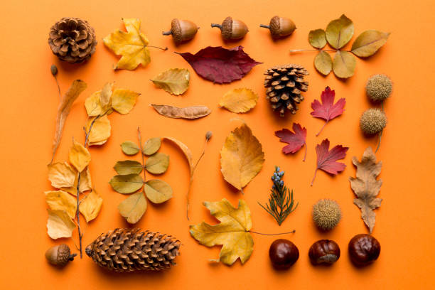 istock Autumn composition. Pattern made of dried leaves and other design accessories on table. Flat lay, top view 2165347048