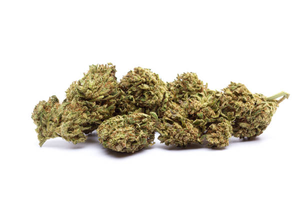 istock Marijuana flowers isolated on white background 2165350992