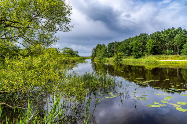 istock Skjern harbor harbour sauna barrels at the river, Denmark 2165355219