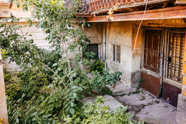 Tranquil Abandoned Backyard Surrounded by Nature and Untamed Growth.