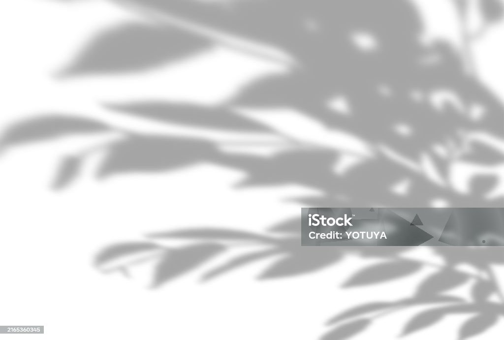 Tree Shadow Background Sharp Beautiful Tree Shadow Background Illustration Stock Illustration ...