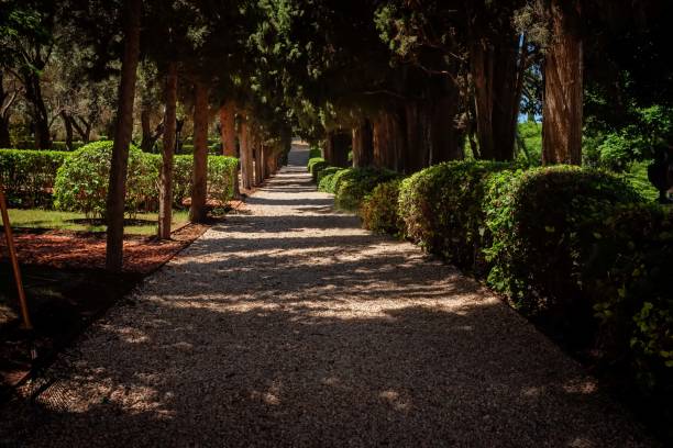 istock Bahai Gardens, summer day, Haifa, Israel 2165363495