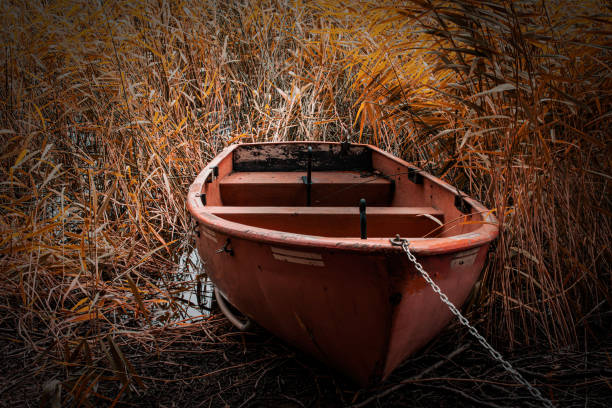 A rowboat moored in the reeds