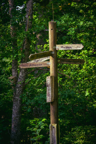 istock Signpost on the forest trail 2165366139