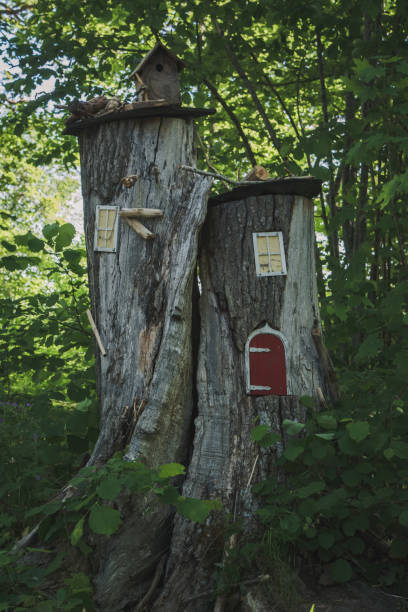 istock The gnome's house 2165366470