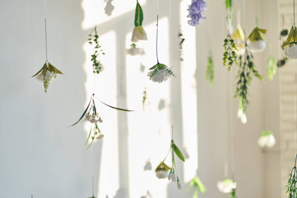 istock Flowers levitating on a white background, hanging flowers. Background, backdrop with copy space, selective focus. Template, mock up can be used for your advertising, posters, wallpaper 2165368474