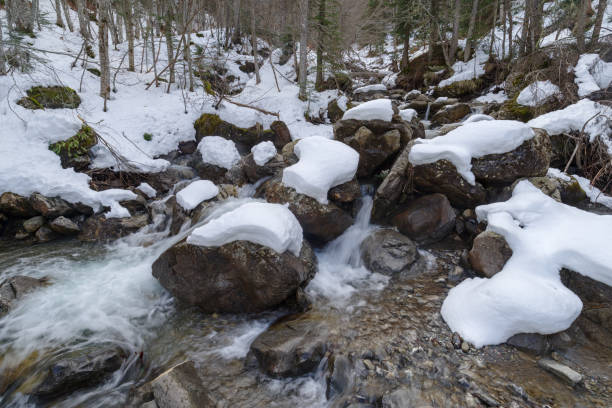 Mountain stream with ice and snow in winter, Ligurian Alps, Italy