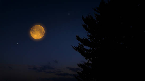 istock Full Moon, stars and landscape scenery silhouettes. 2165372259