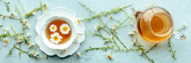istock Chamomile flower tea panorama. A tea cup and a tea pot with fresh flowers 2165373518