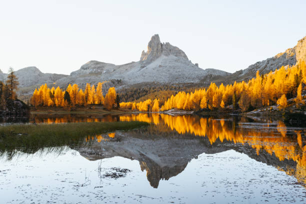 istock Federa Lake and Croda da Lago mountains in Autumn time 2165373896