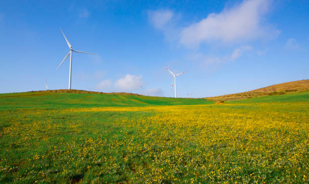 istock Wildmill standing on the field at mountain in blue sky 2165374774