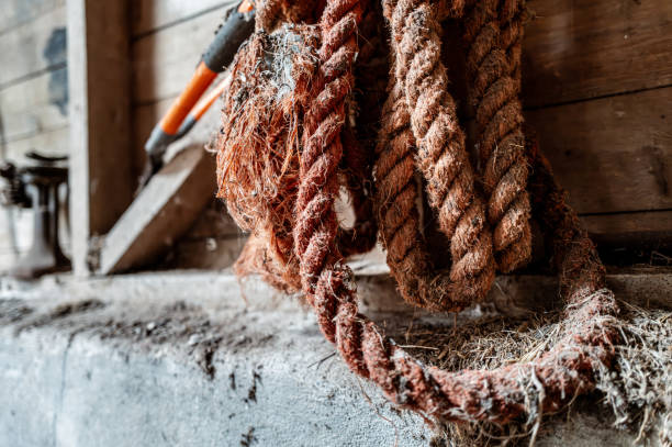Coiled orange rope seen in a barn shed on a rural farm. The orange fibres of the thick robe creating an interesting texture.