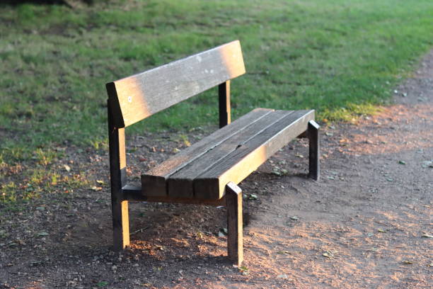 Traditional wooden bench in a park