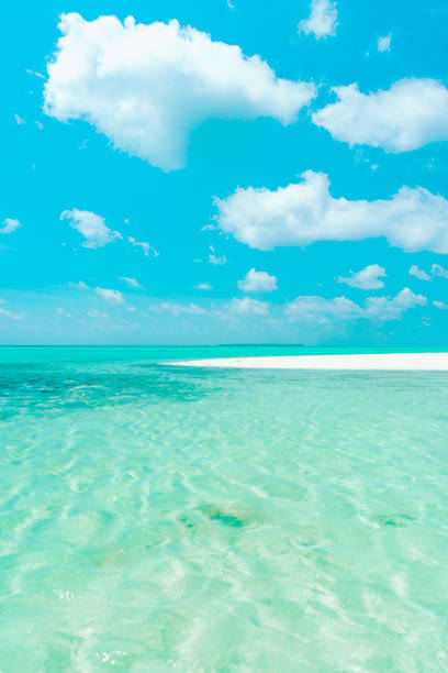 Perfect white sand beach and turquoise tropical ocean