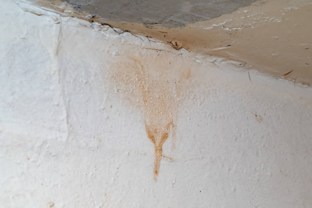 istock Big wet black mold and cracks a on the wall 2165385986