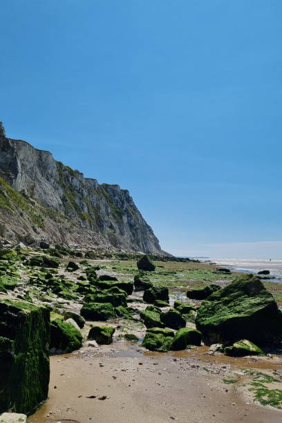 Scenic Coastal Landscape with Rocky Beach, Moss-Covered Rocks, and Cliffs on a Sunny Day Perfect for Travel, Nature, and Outdoor Adventure Themes