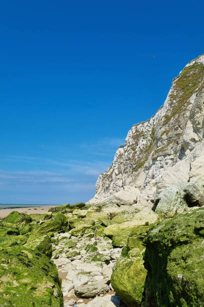 istock Coastal Cliffscape with Moss-Covered Rocks and Clear Blue Sky - Ideal for Nature Prints or Travel Posters 2165387323