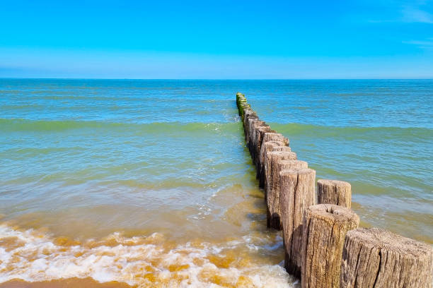 istock Tranquil Beach Scene: Wooden Pillars Extending into Serene Blue Ocean 2165387333