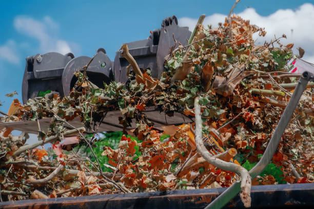 Front Loader Crunches Leaves and Branches in Storm Cleanup