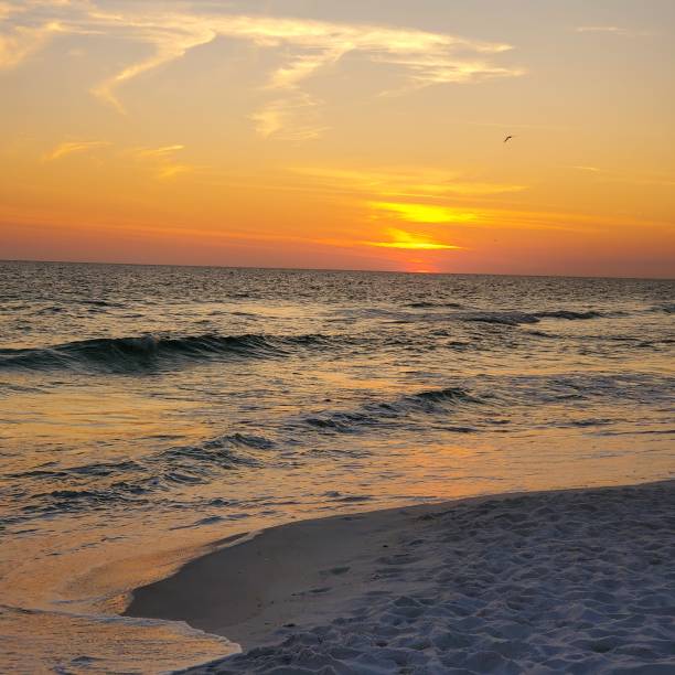 istock Sunset over the ocean 2165390266